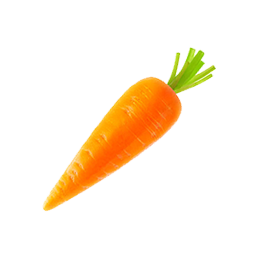 Vegetable